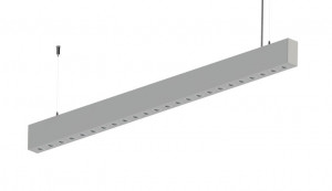 Duobus PRO 80 INDI 50